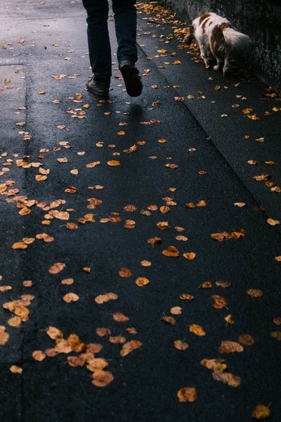 人黑裤子走在灰色的混凝土路面与黄色的叶子
